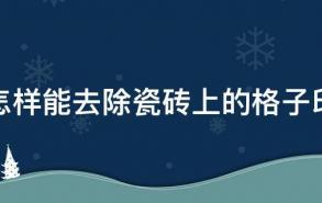 怎样能去除瓷砖上的格子印