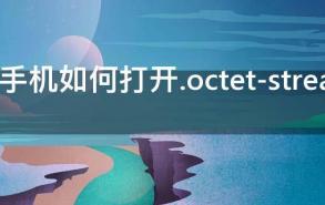 安卓手机如何打开.octet-stream文件